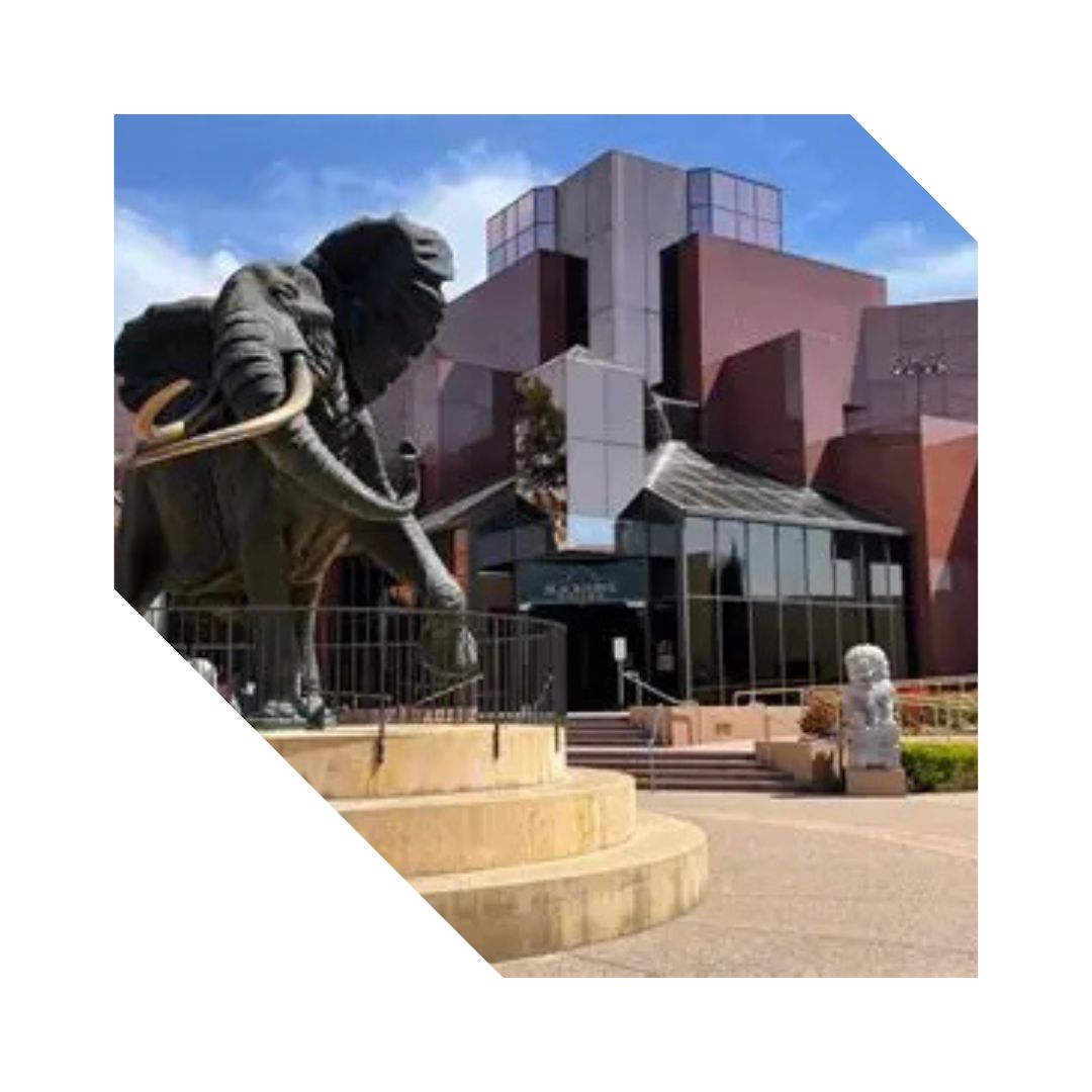 Why Blackhawk Homes Need Proactive Computer Care in 2025