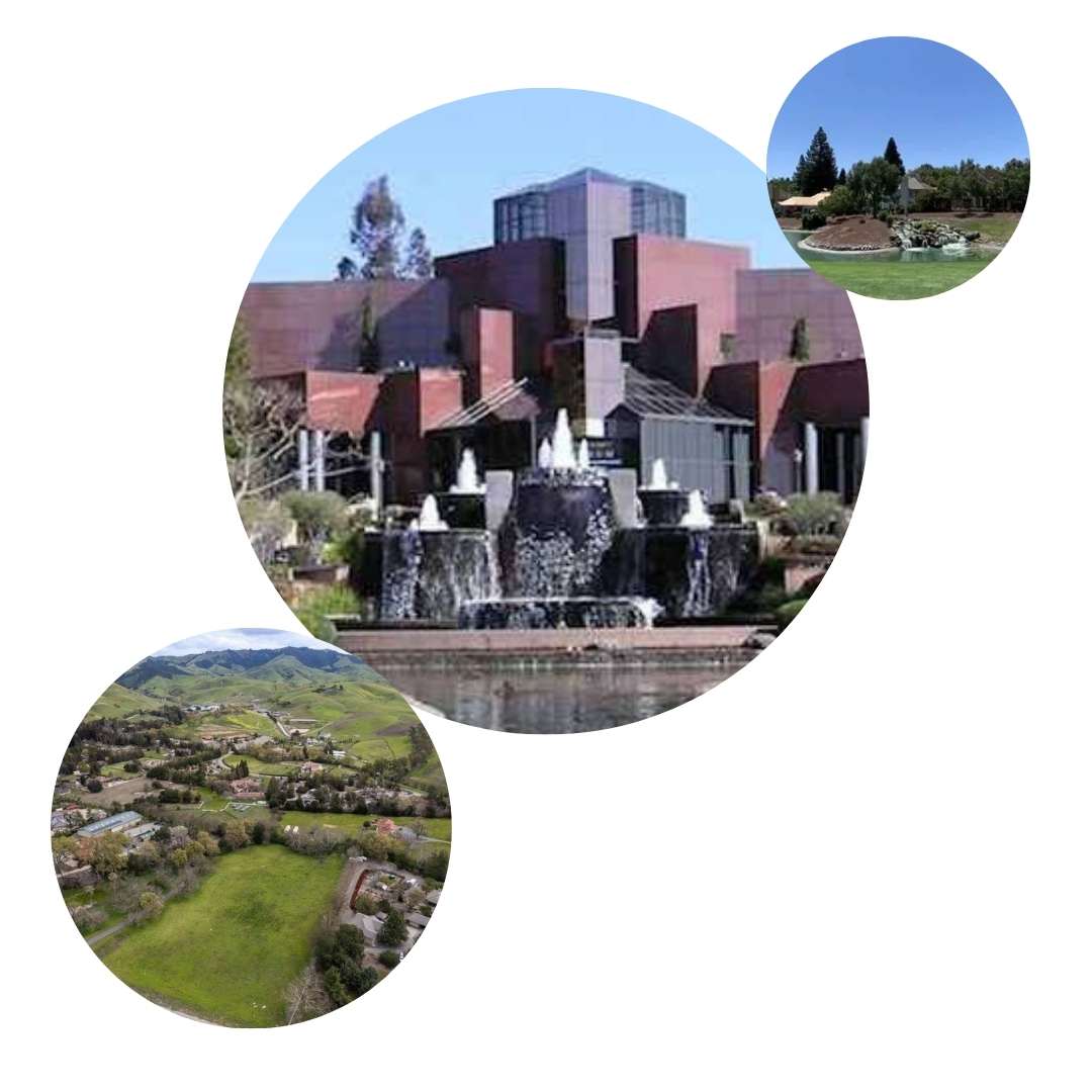 Why Blackhawk Homes Need Professional Mesh Wi-Fi in 2025