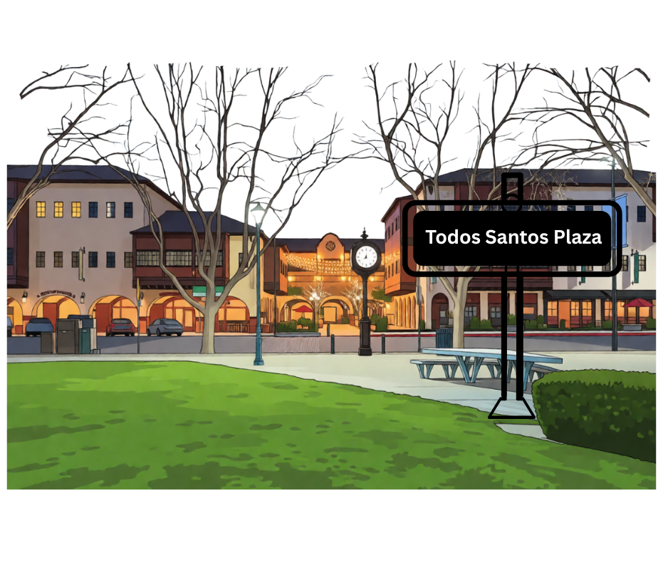 IT Services in Concord